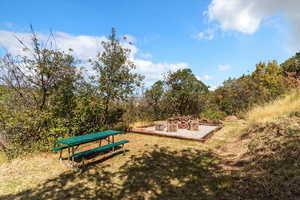 View of the fire pit and picnic area.
