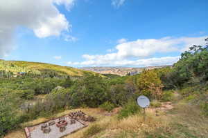 Mountain view with a heavily wooded area