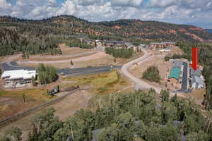 Aerial overview of property's location featuring a forest and a mountain backdrop