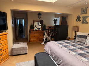 Bedroom featuring rail lighting and light carpet