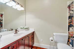 Bathroom with vanity, a shower with curtain, and dark wood-type flooring