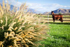 View of mountain background with rural landscape