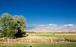 View of yard featuring a mountain view and a view of countryside