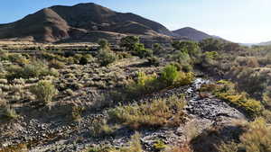 View of mountain background