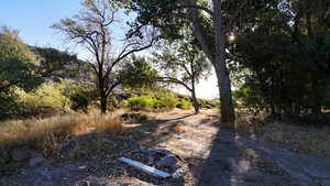 View of local wilderness