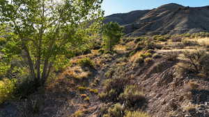 View of mountain backdrop