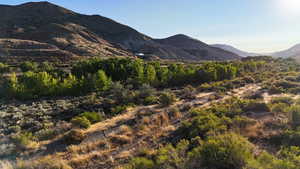 View of mountain background