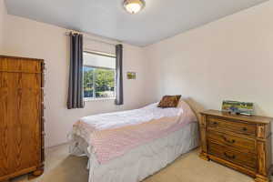 Bedroom with carpet floors