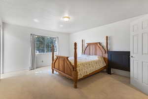 Bedroom featuring a textured ceiling and carpet floors
