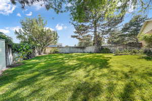 View of fenced backyard