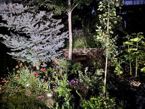 Garden lighting make the yard enchanting
