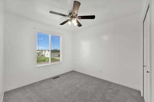 Empty room featuring carpet floors, ceiling fan, and a textured ceiling