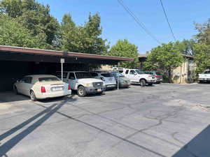 View of 4 of the 11 carports