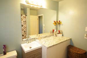 Bathroom featuring vanity and curtained shower