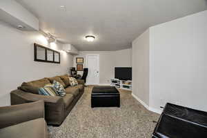 Living area featuring a textured ceiling, carpet floors, and rail lighting