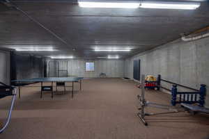 Game room featuring carpet flooring