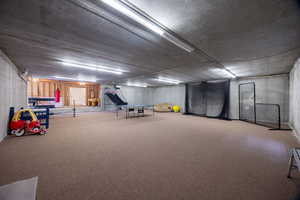 Recreation room featuring carpet floors