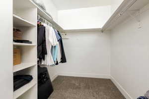 Walk in closet featuring dark carpet
