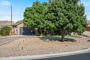 View of property hidden behind natural elements with concrete driveway, stucco siding, and an attached garage
