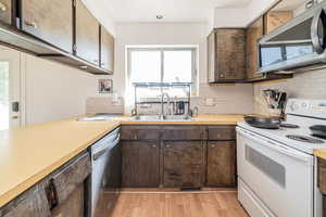 Kitchen featuring stainless steel appliances, decorative backsplash, light wood-type flooring, and dark brown cabinetry