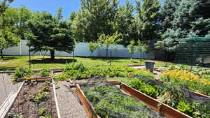 View of yard with a vegetable garden