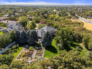 Aerial view of a tree filled landscape