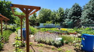 View of yard featuring a vegetable garden and a pergola