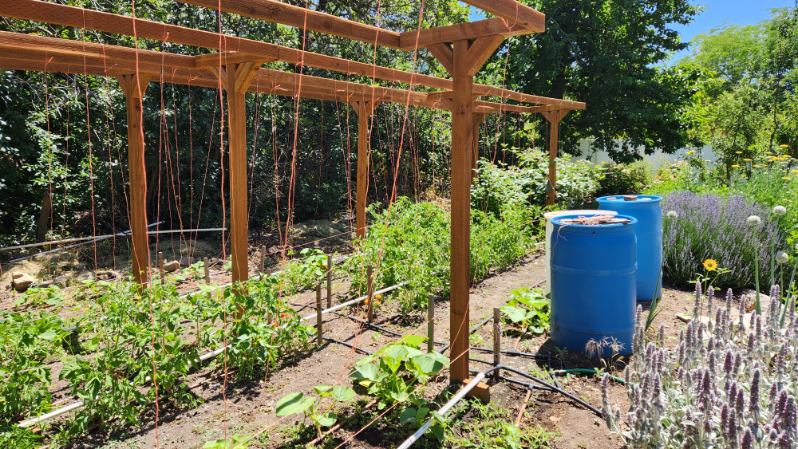 View of yard with a vegetable garden