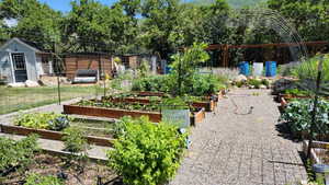 View of yard with a vegetable garden and view of wooded area