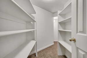Spacious closet featuring light colored carpet