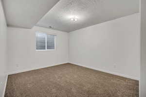 Spare room featuring carpet flooring and a textured ceiling