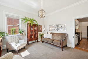 Living area featuring ornamental molding, dark colored carpet, and a chandelier