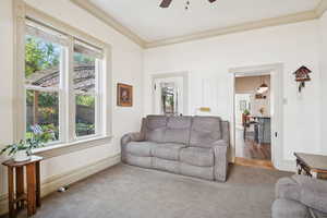 Living area with crown molding, ceiling fan, and carpet floors