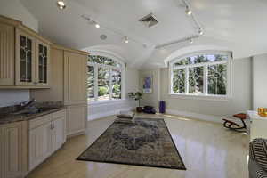 Living area with track lighting, light wood-style floors, and vaulted ceiling