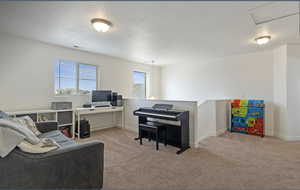 Office area with light colored carpet and baseboards