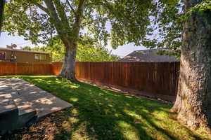 View of fenced backyard