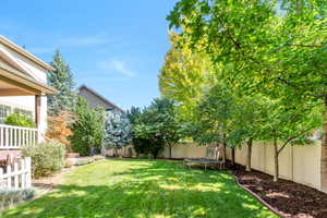 View of fenced backyard