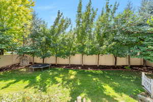 Fenced backyard featuring a trampoline