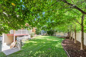 Fenced backyard with a trampoline