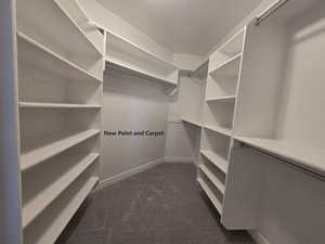 Walk-in closet in the master bedroom