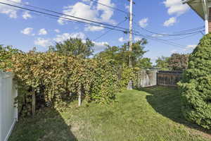 View of fenced backyard