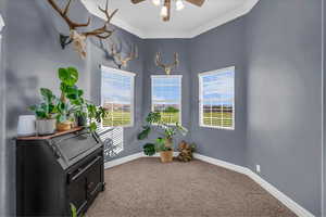 Sitting room featuring plenty of natural light, carpet, ceiling fan, and crown molding