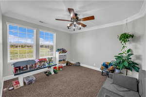 Playroom featuring crown molding, carpet, and a ceiling fan