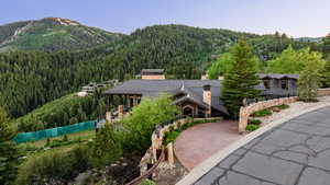 View of mountain background featuring a heavily wooded area