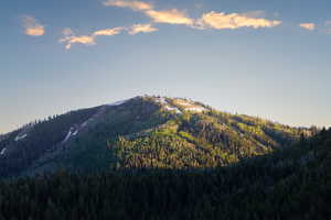 Mountain view featuring a forest