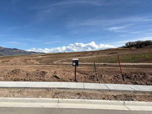 View of the lot from the street