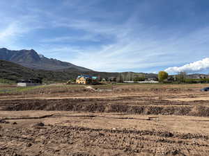 View of lot from the back property line