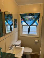 Bathroom with wood finished floors and ornamental molding