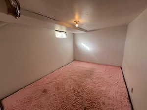 Basement with carpet floors