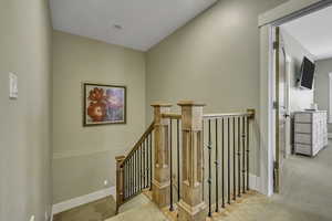 Stairs featuring carpet flooring